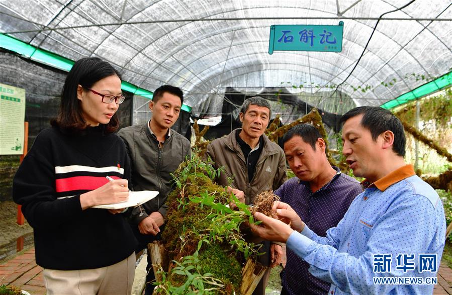 (新華全媒頭條·圖文互動(dòng))(3)全面從嚴(yán)治黨啟新局——寫在十九屆中央紀(jì)委三次全會(huì)召開(kāi)之際