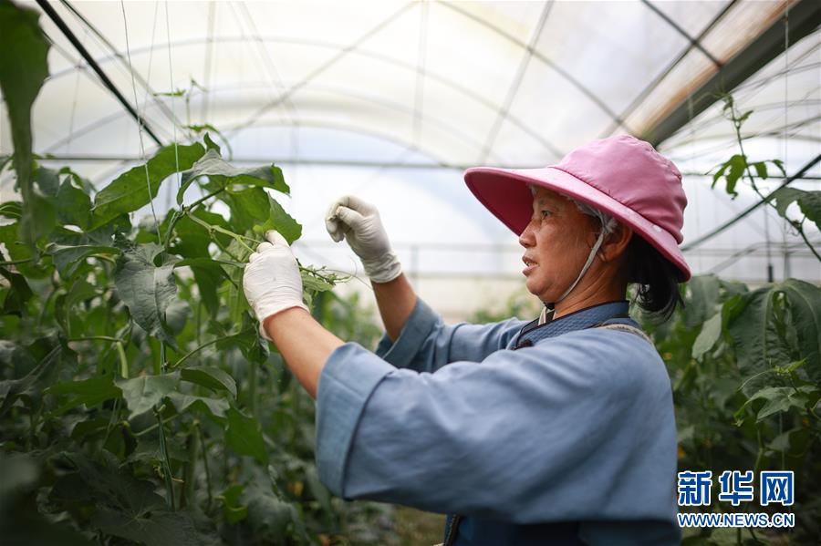 （走向我們的小康生活·決戰決勝脫貧攻堅·圖文互動）（1）麻山突圍記