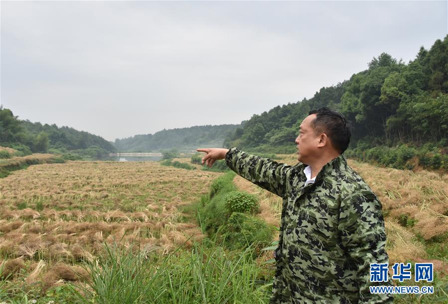（代表委員履職·圖文互動）（2）“我是農民代表，始終關注農村”——全國人大代表沈昌健的履職故事