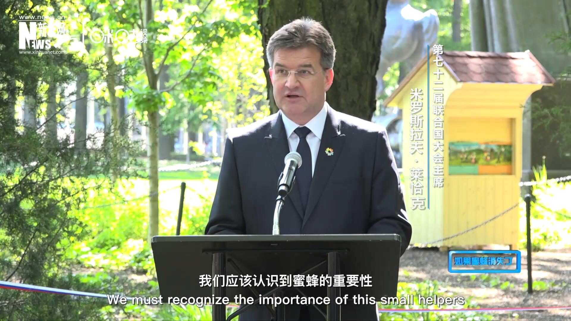 我們應(yīng)該認(rèn)識到蜜蜂的重要性，所以我們用“世界蜜蜂日”提高大家保護(hù)蜜蜂的意識，并且用實(shí)際行動去保護(hù)蜜蜂