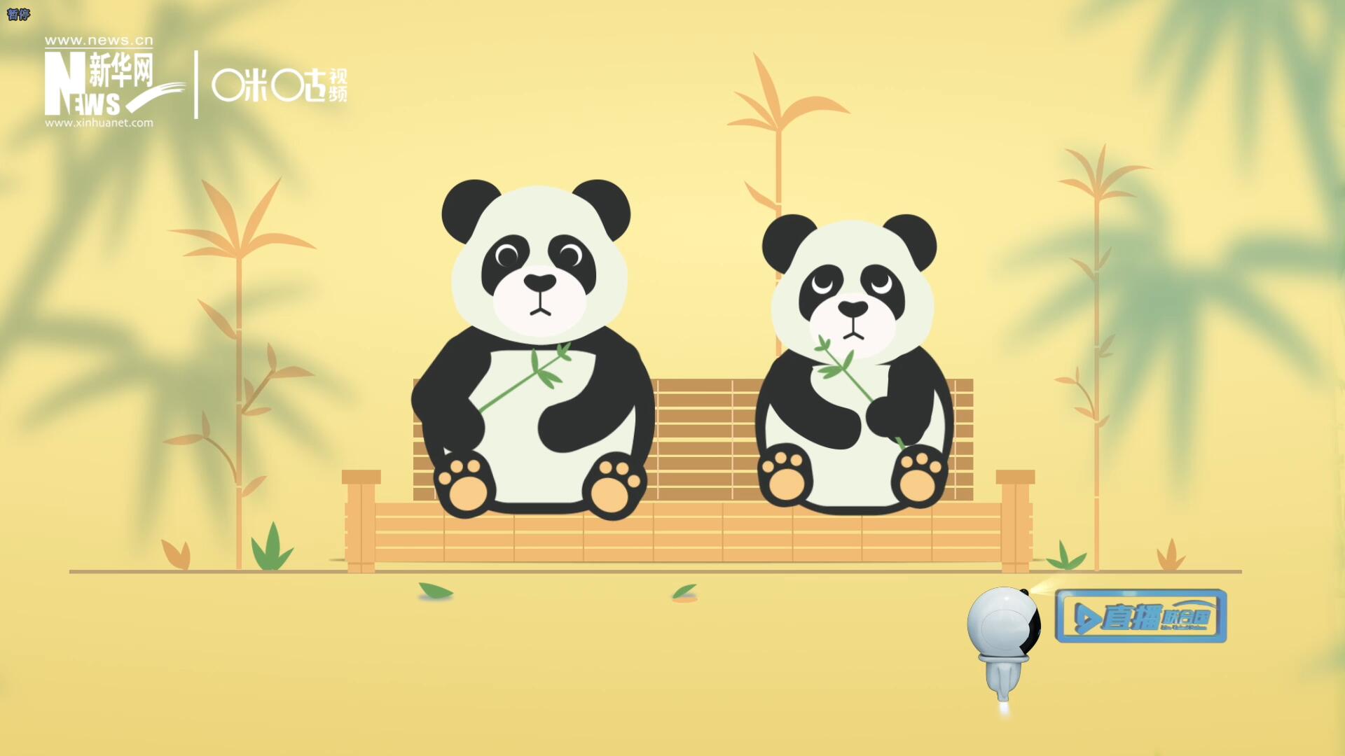 “哥哥你看，又有人來看我們了。”“有什么奇怪的，我們可是聯(lián)合國‘最萌’的大使啊！”。