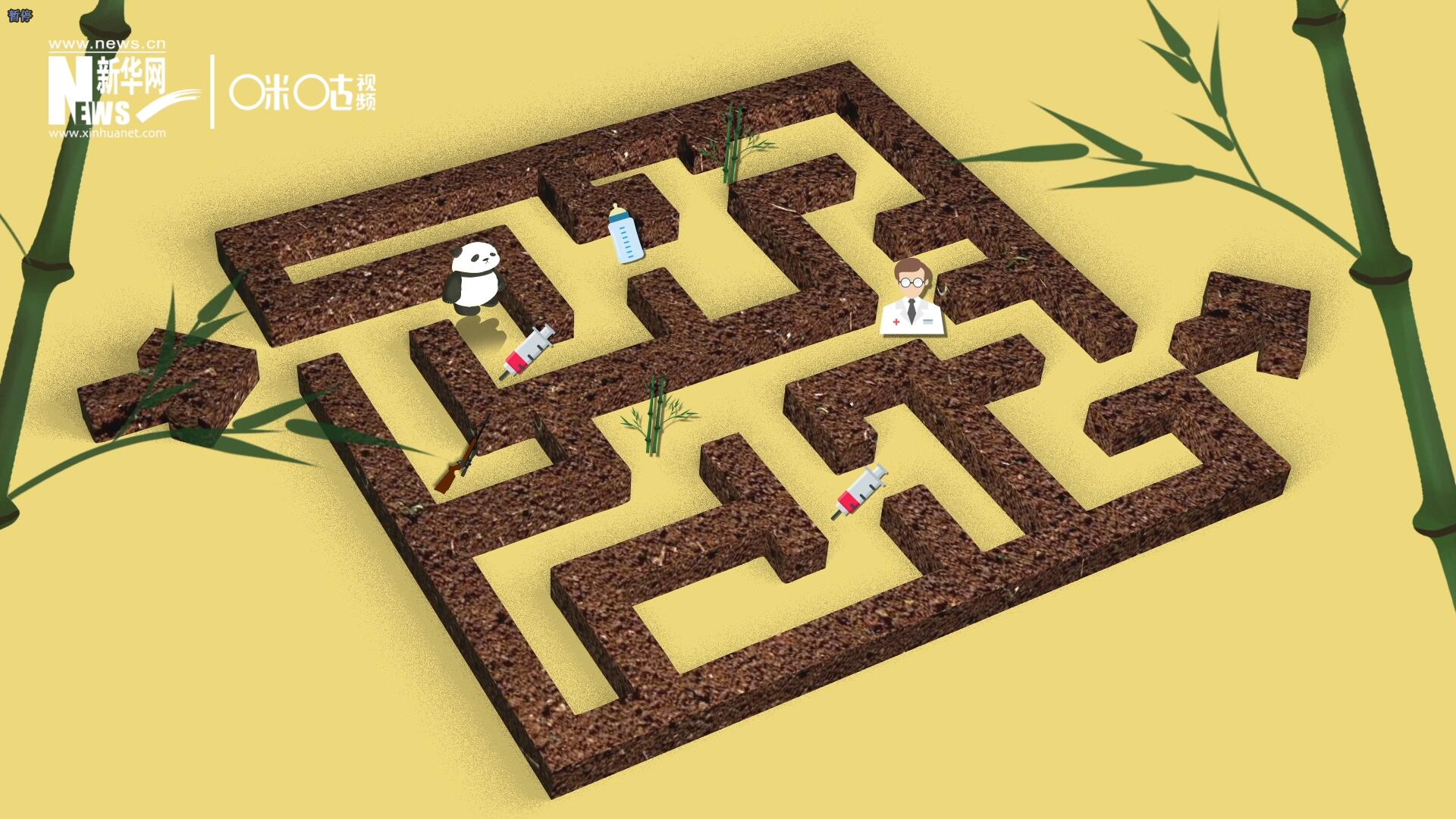 2016年，國際自然保護(hù)聯(lián)盟將大熊貓的物種瀕危等級，從“瀕危”下降到了“易危”。