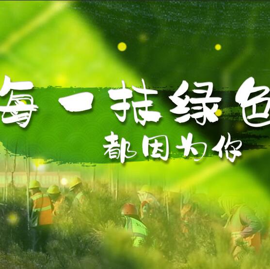 千年秀林，每一抹綠色都因為你