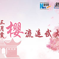 三月賞櫻，流連武大