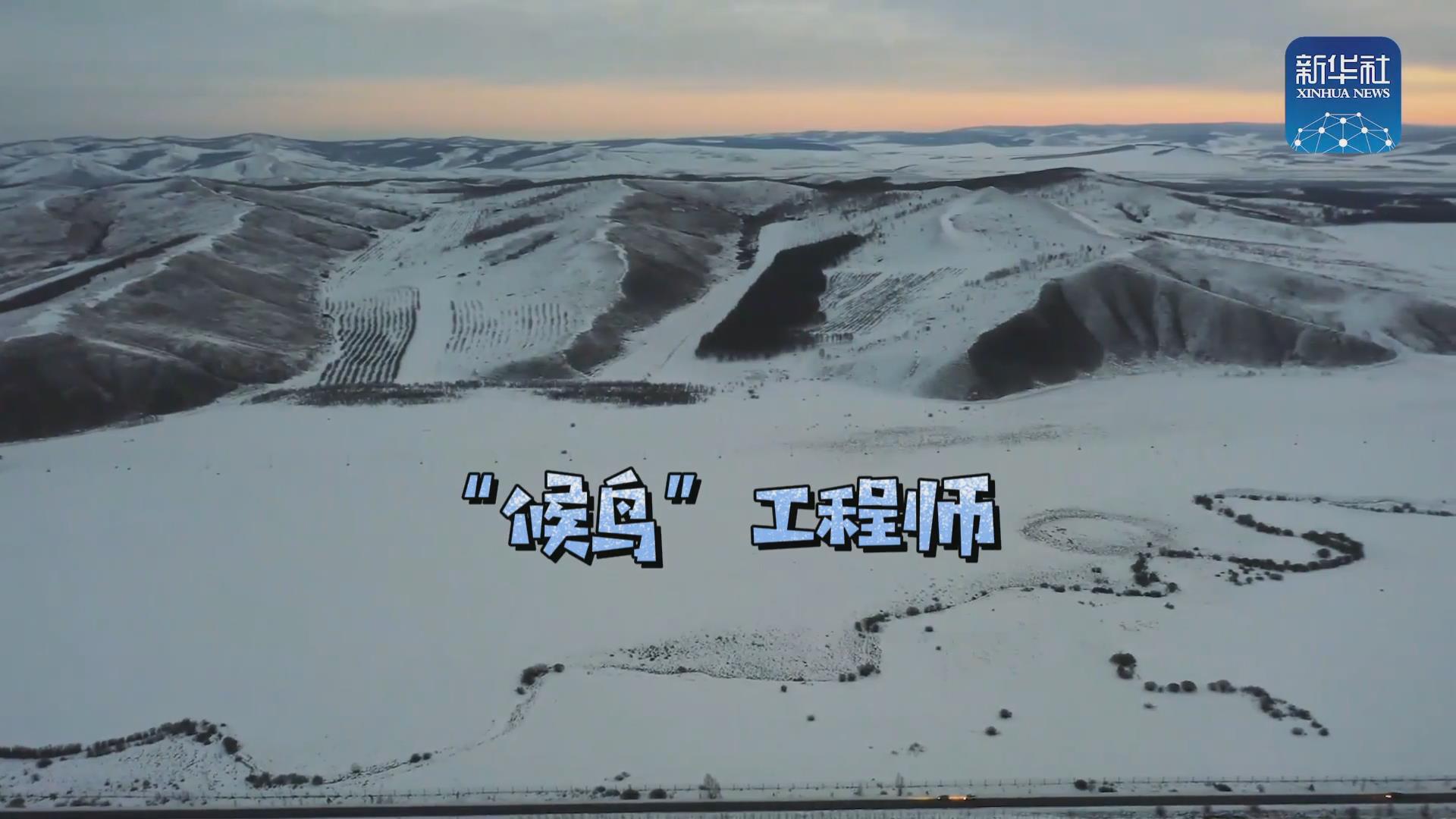 我們在奔跑丨一路向北！他是逆行的“候鳥”